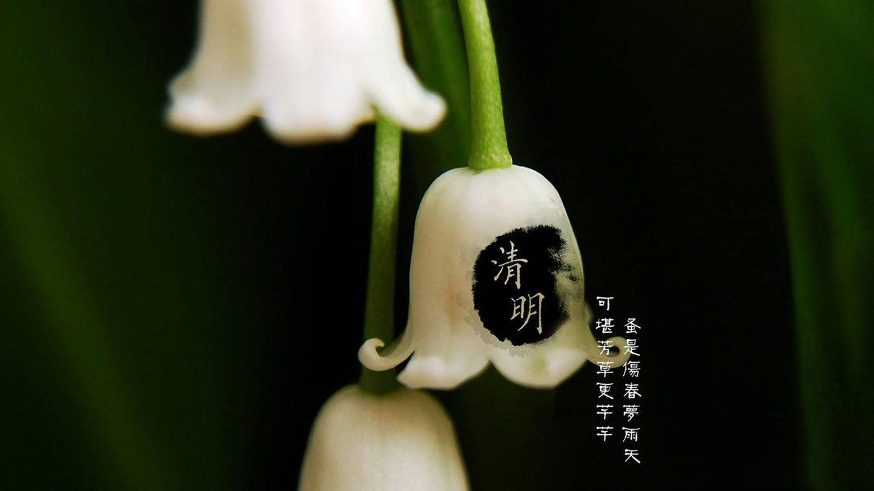 抖音在线业务秒单平台24小时自助下单服务|抖音业务下单24小时平台|ds业务自助下单网站